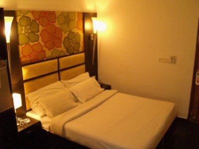 Hotel Sri Nanak Continental 3*
